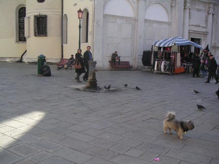PICT0244