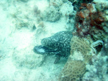 DSC08701